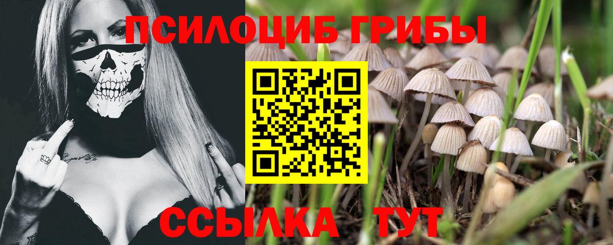 Галлюциногенные грибы мухоморы  Псилоцибиновые грибы MAGIC MUSHROOMS  Вход с VPN  Кстово 
